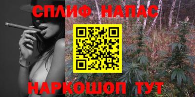 индика Гусев