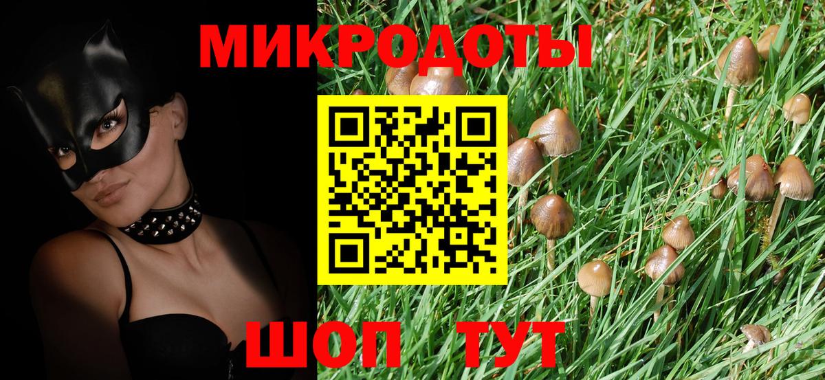 Псилоцибиновые грибы Psilocybine cubensis  Вход с VPN  Малгобек 